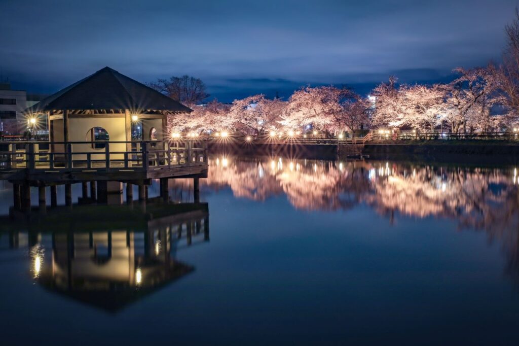 Nagaoka Tenmangu Shrine Hachijogaike Pond