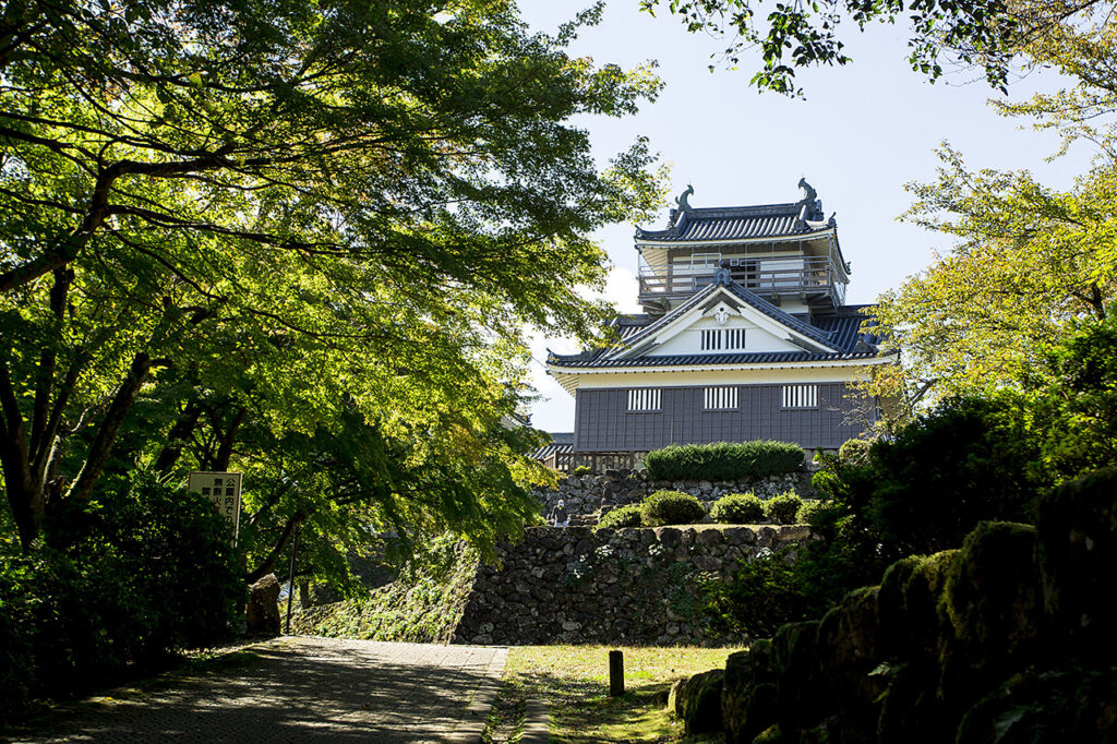 Echizen-Ono Castle, Fukui Prefecture