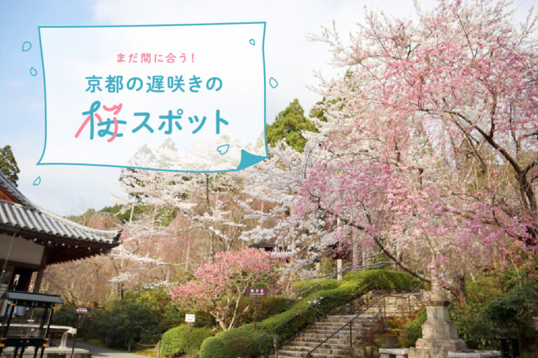 遅咲きの桜バナー