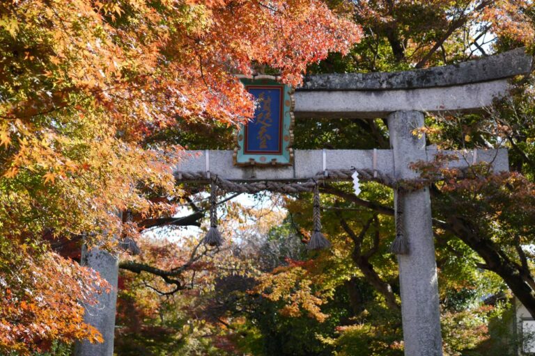 鷺森神社の鳥居