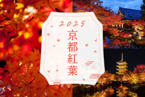京都・紅葉の見頃情報はこちらから！続々更新中！