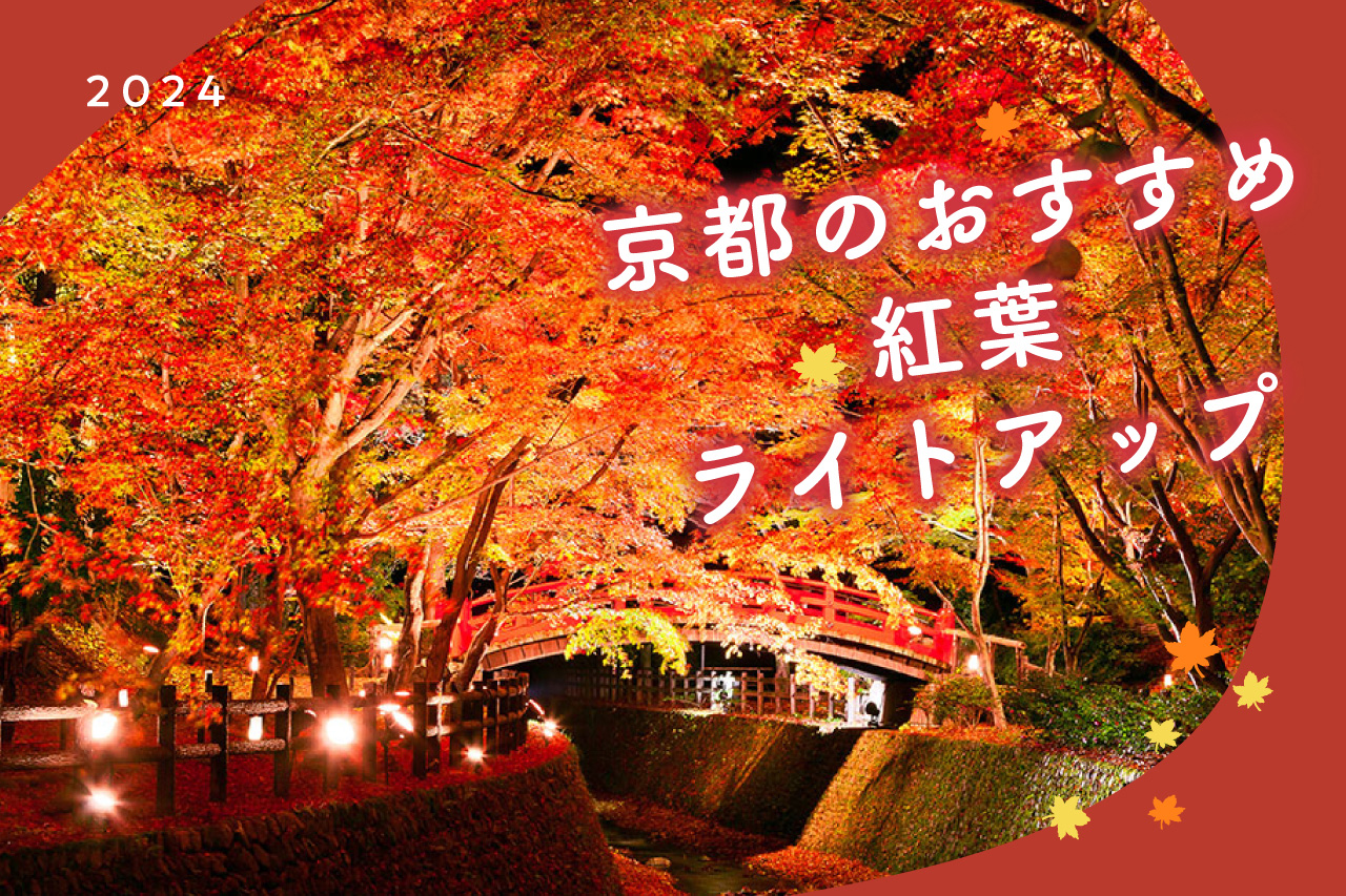 2024] Recommended Autumn Foliage Light-Up in Kyoto