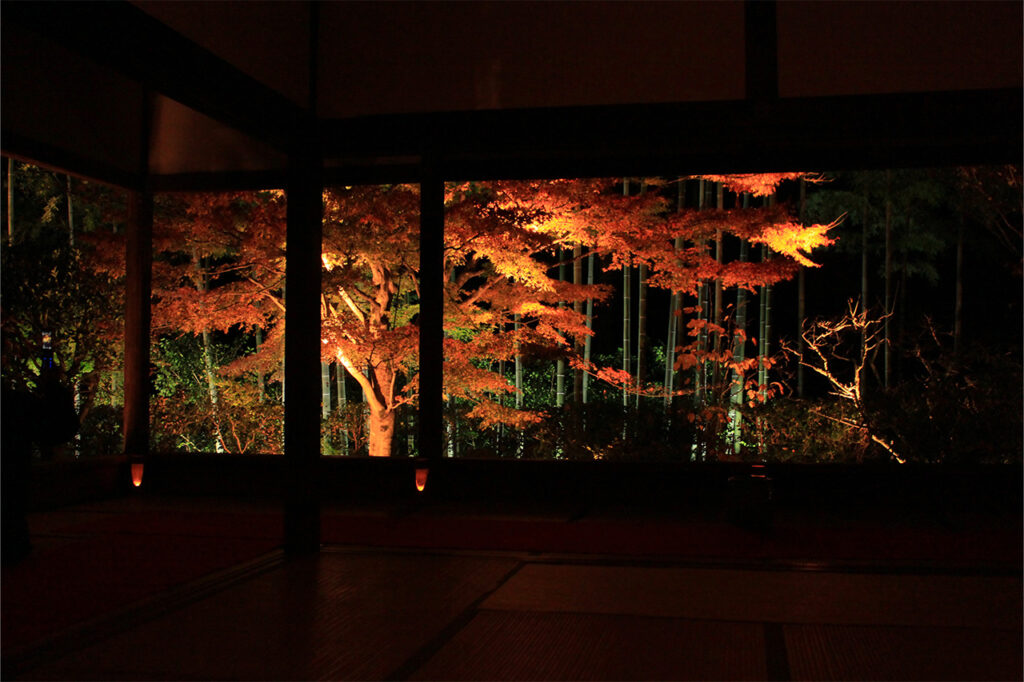 宝泉院　ライトアップ