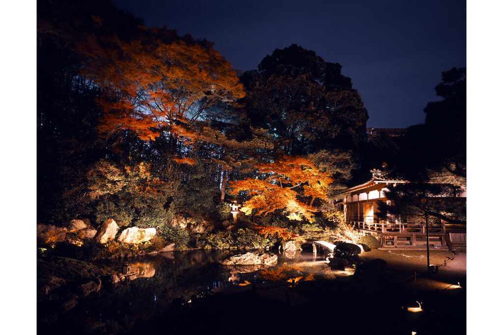 青蓮院　ライトアップ