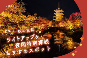 秋天的树叶亮起来