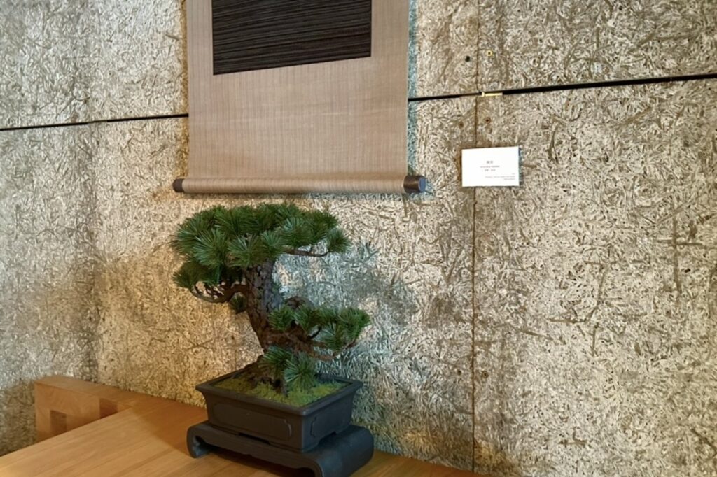 TEA WAVE　内装