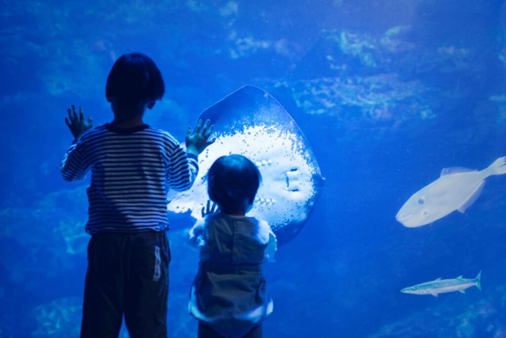 京都水族館　京の海