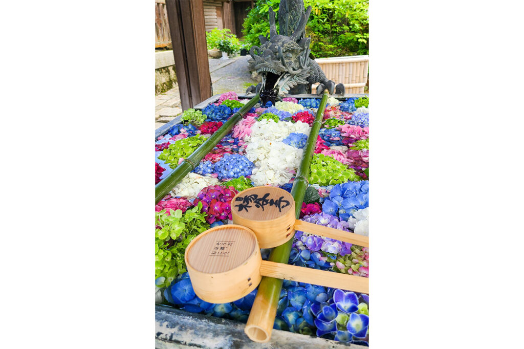 柳谷観音楊谷寺