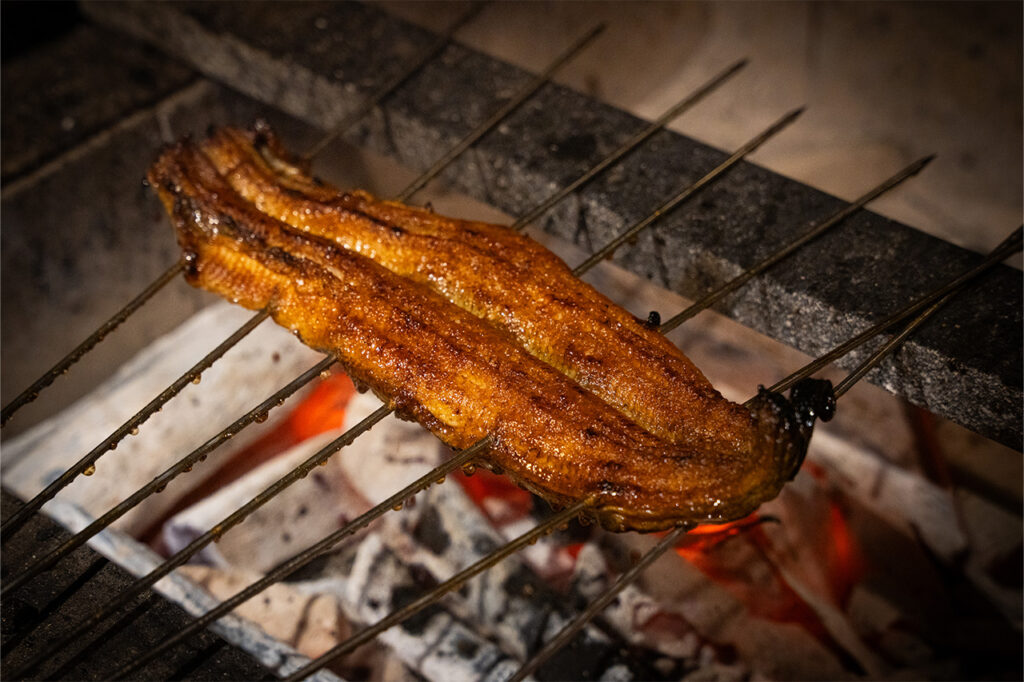 Eel 4th generation Kikukawa