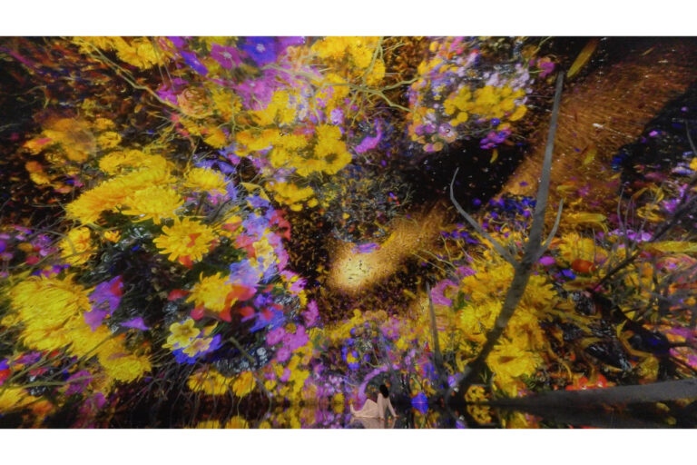 teamLab, The Way of Birds © teamLab