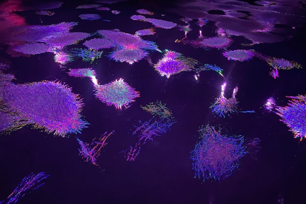 チームラボ　バイオヴォルテックス京都