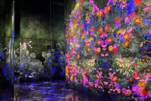 チームラボバイオヴォルテックス京都