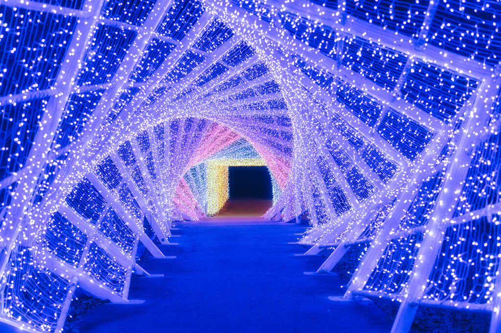 ASOBIYUKU 京都るり渓温泉　イルミネーション