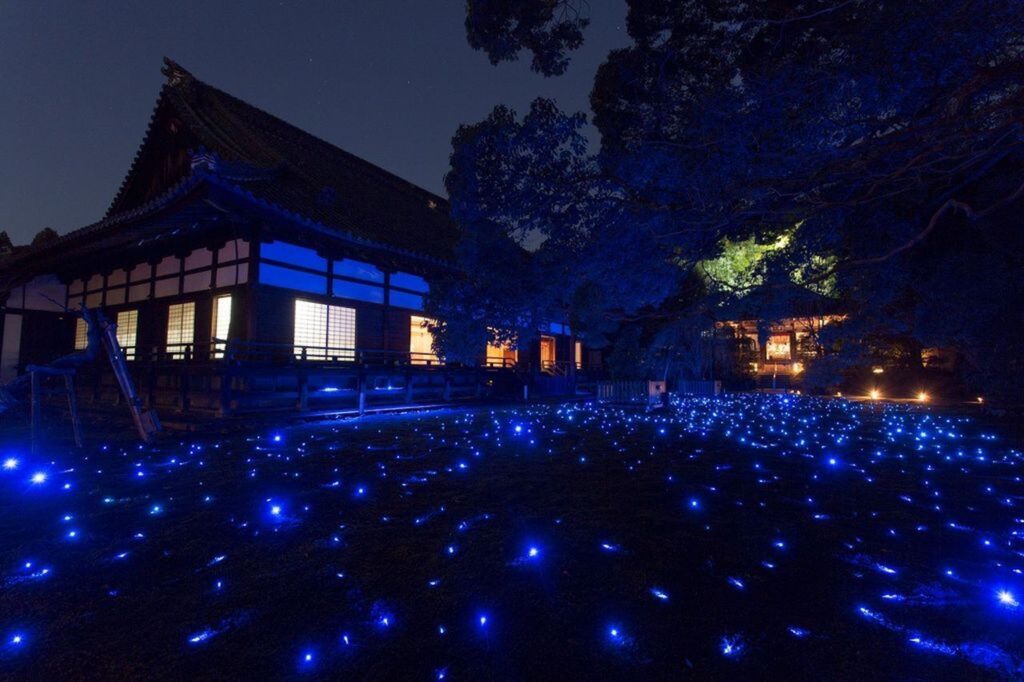 青蓮院　ライトアップ