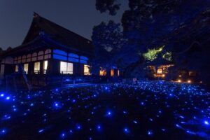 青蓮院 ライトアップ
