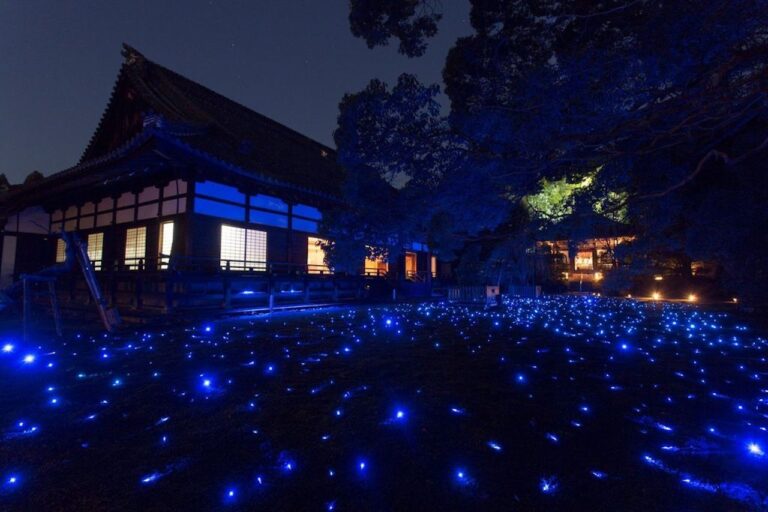 青蓮院　ライトアップ