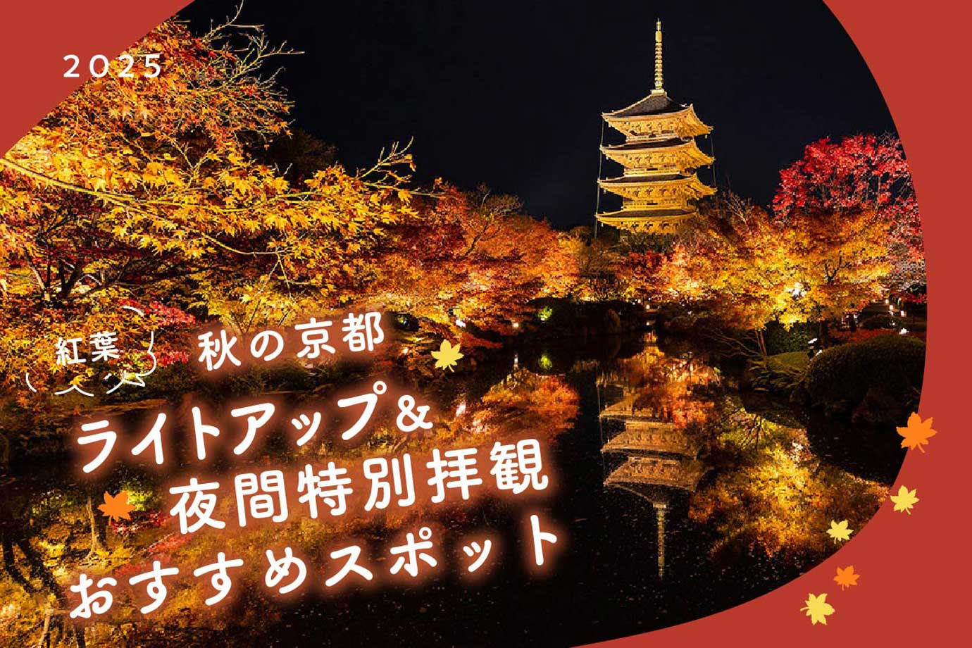 紅葉ライトアップ