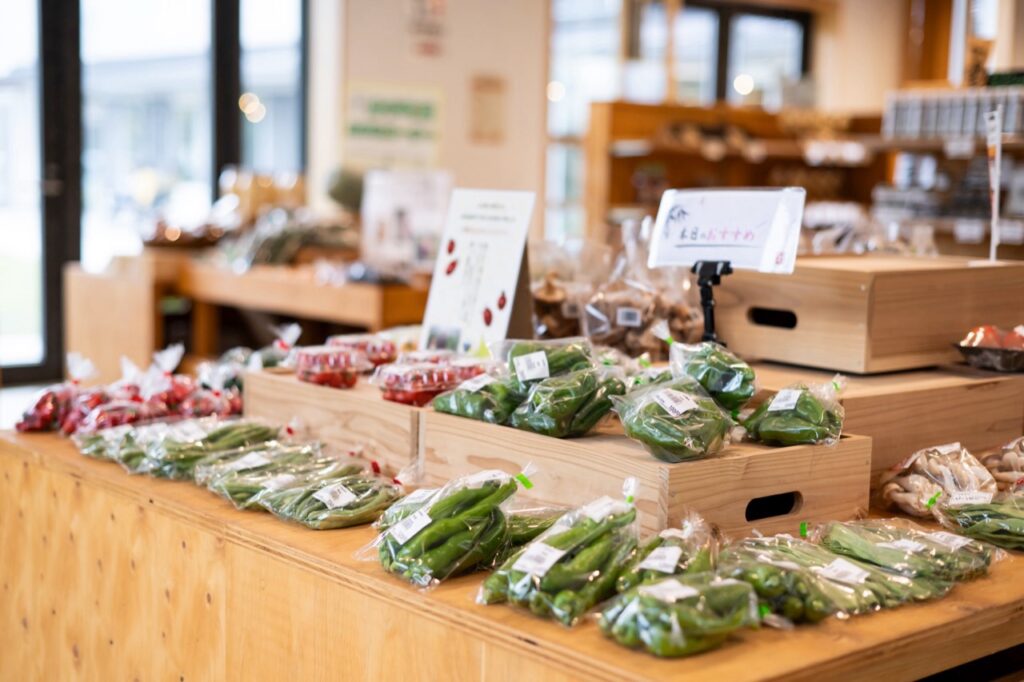 テオテラスいで