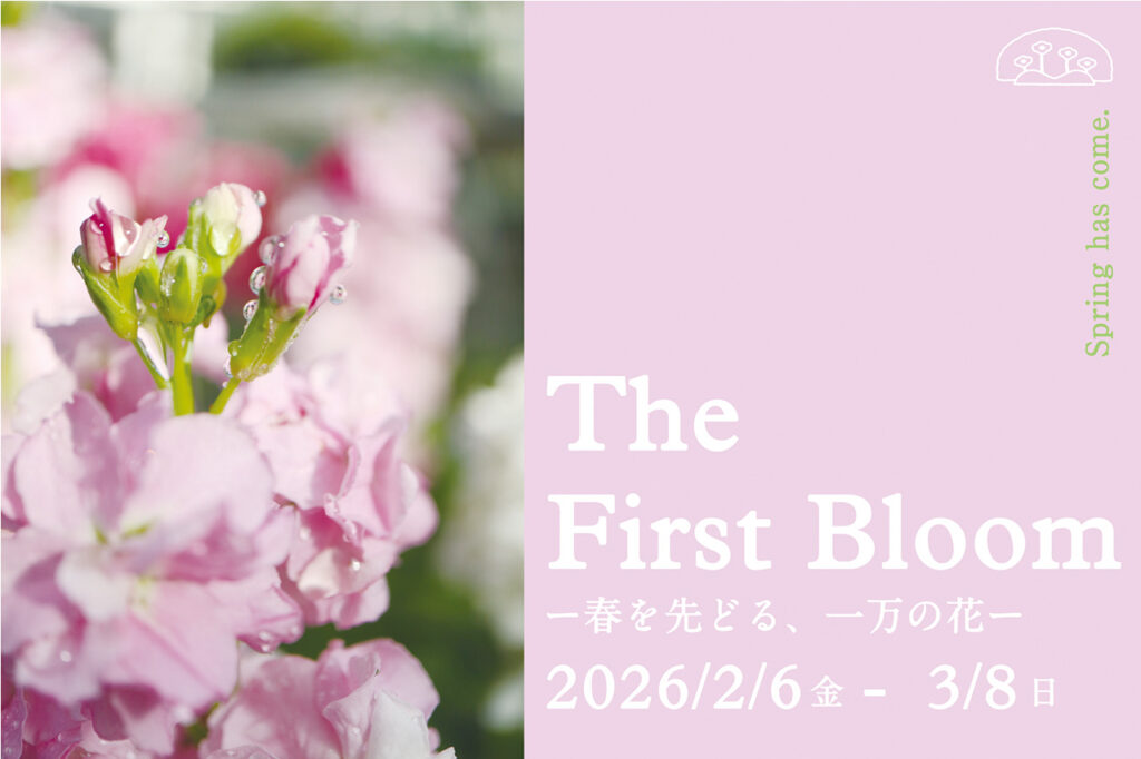 京都府立植物園『The First Bloom ―春を先どる1万の花―』