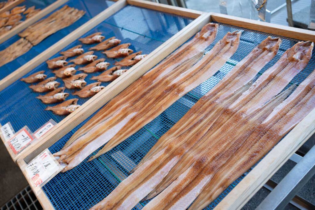 若狭小浜お魚センター