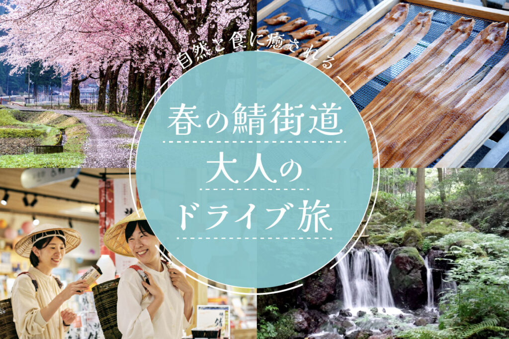 春の鯖街道 ドライブ旅