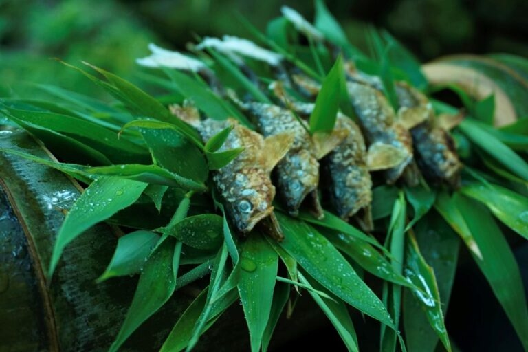 奥貴船 兵衛 料理