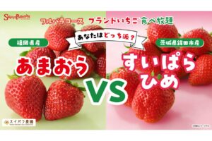 スイーツパラダイス 「あなたはどっち派? あまおう vs すいぱらひめ」