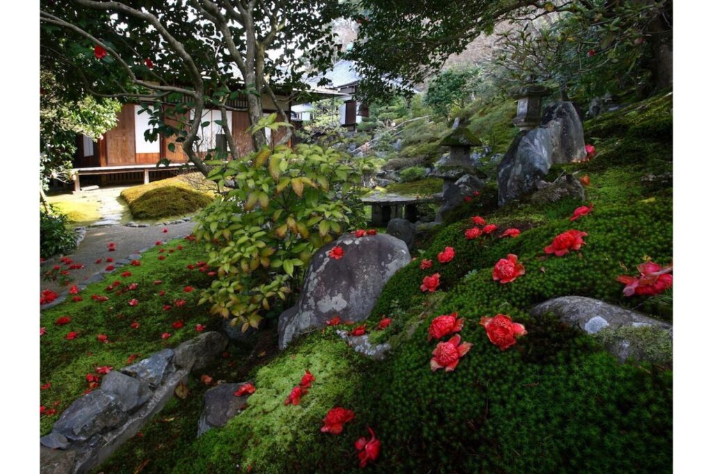 霊鑑寺　春の特別公開