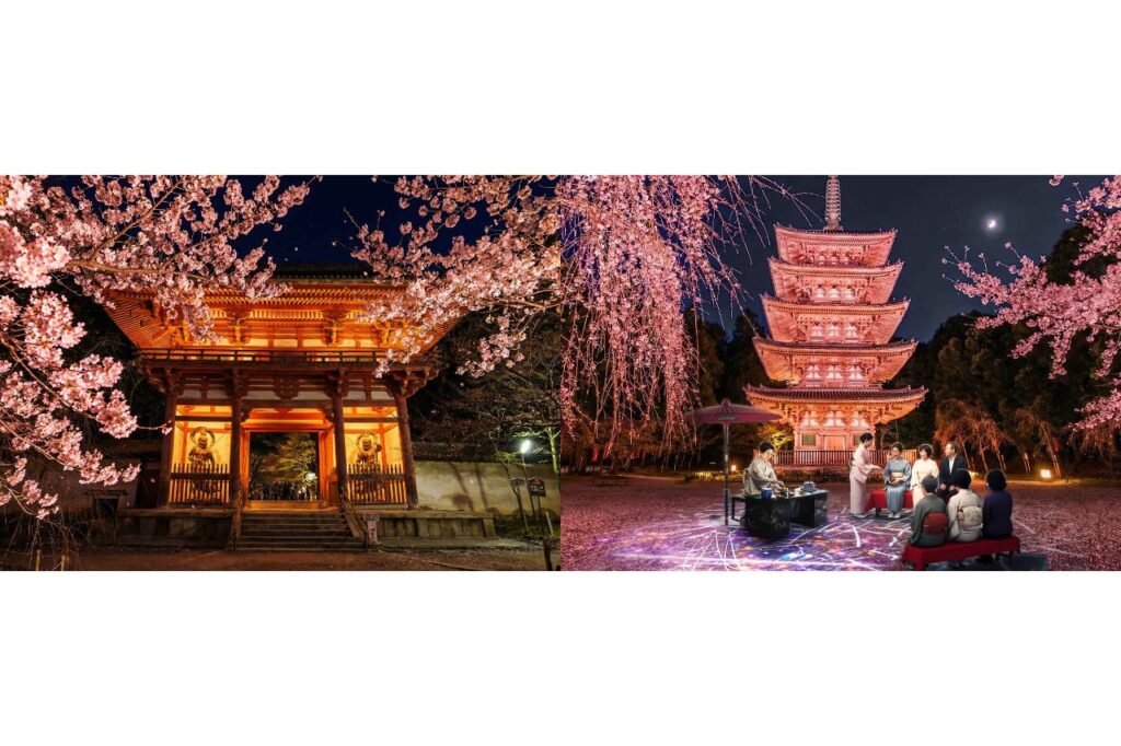 『そうだ 京都、行こう。Presents NAKED meets 世界遺産 醍醐寺 —醍醐花見 ―』