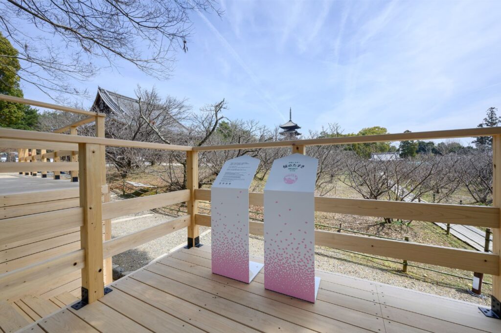 「名勝御室桜」観賞用デッキ