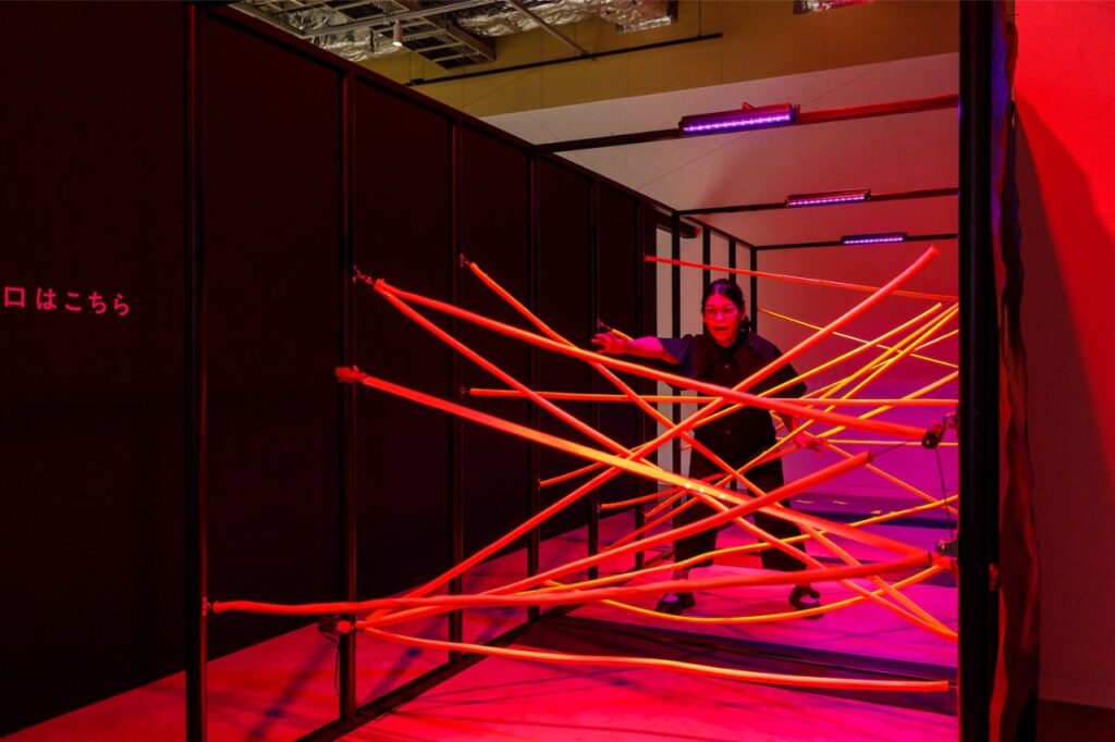 大どろぼうの家