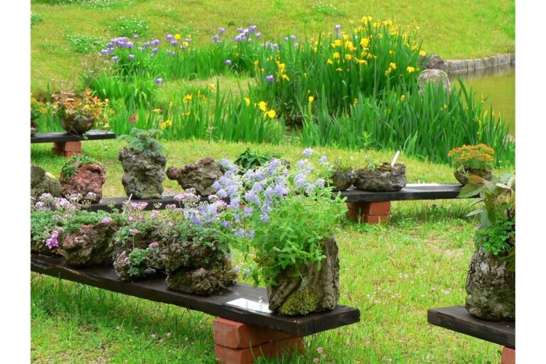 Spring Japanese Flower Exhibition