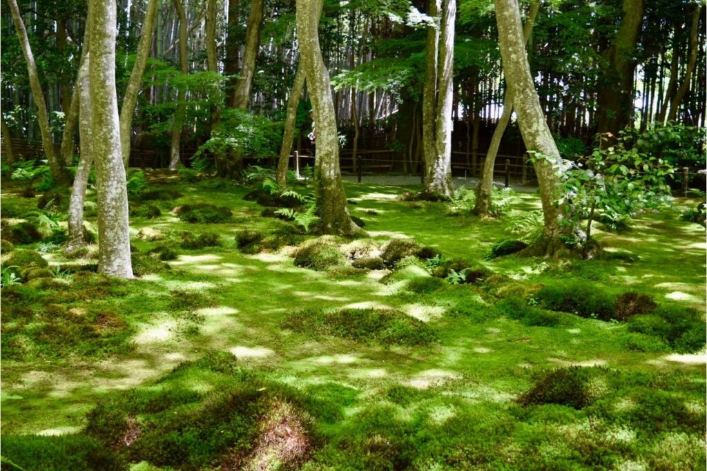 祇王寺