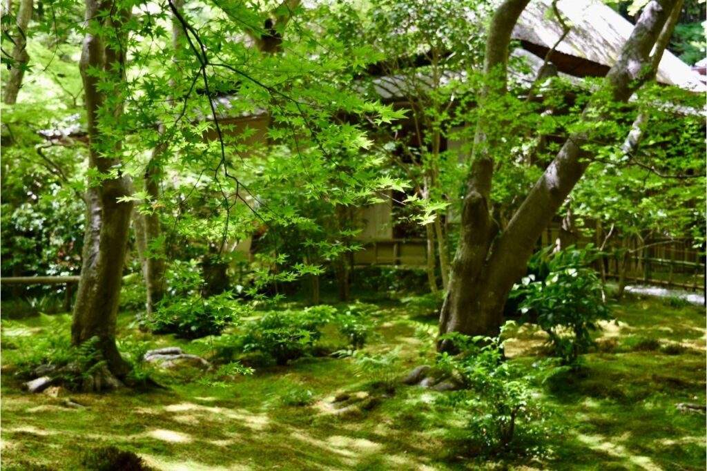 祇王寺