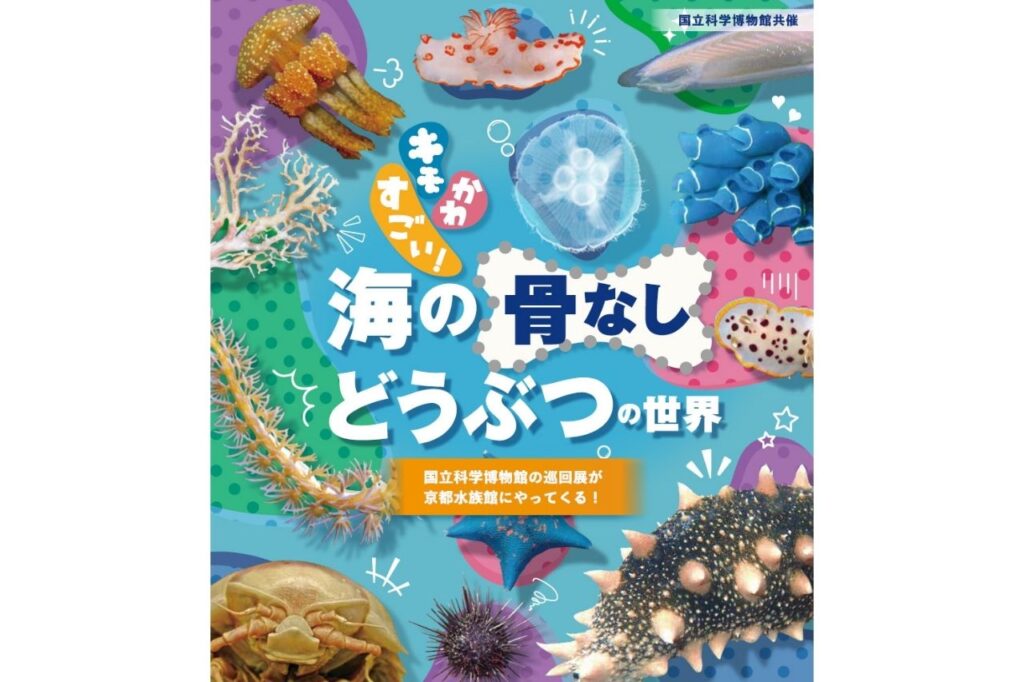京都水族館　キモかわすごい！海の骨なしどうぶつの世界