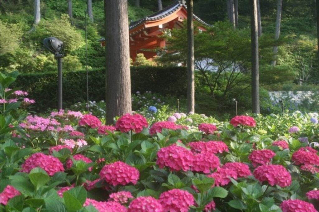 Mimurotoji Temple