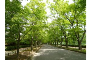 京都府立植物園