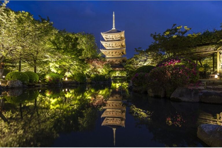 一夜限りの貸し切り企画　東寺 秋の夜間特別拝観