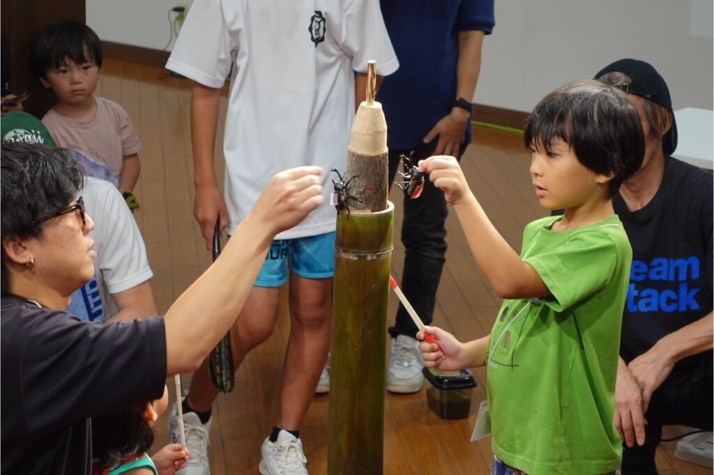 第3回あやべカブト虫相撲大会