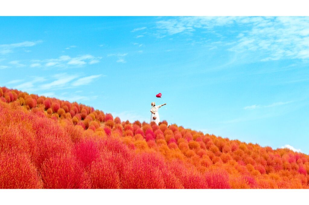 びわこ箱館山