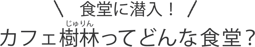 食堂に潜入！カフェ樹林ってどんな食堂？