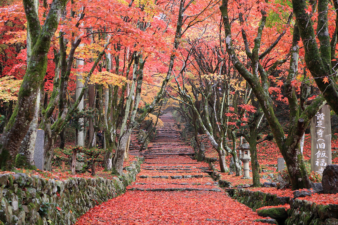 鶏足寺