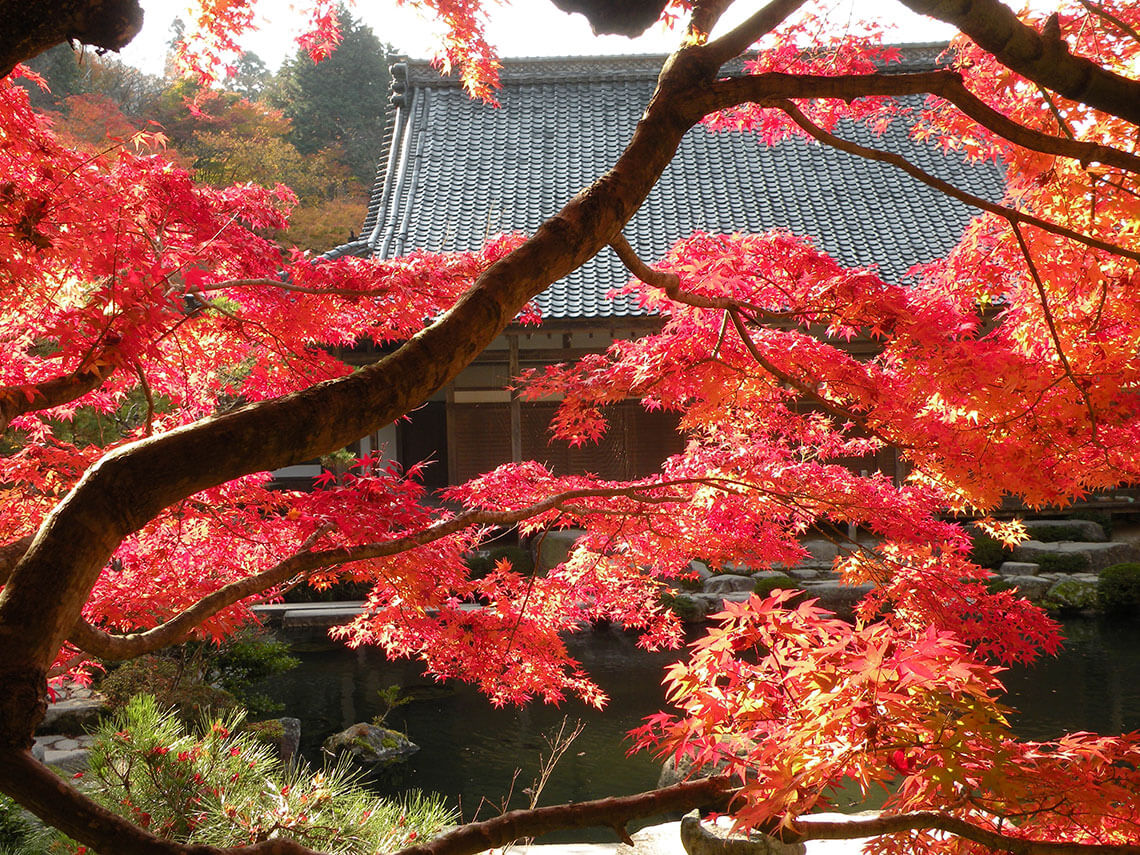 百済寺