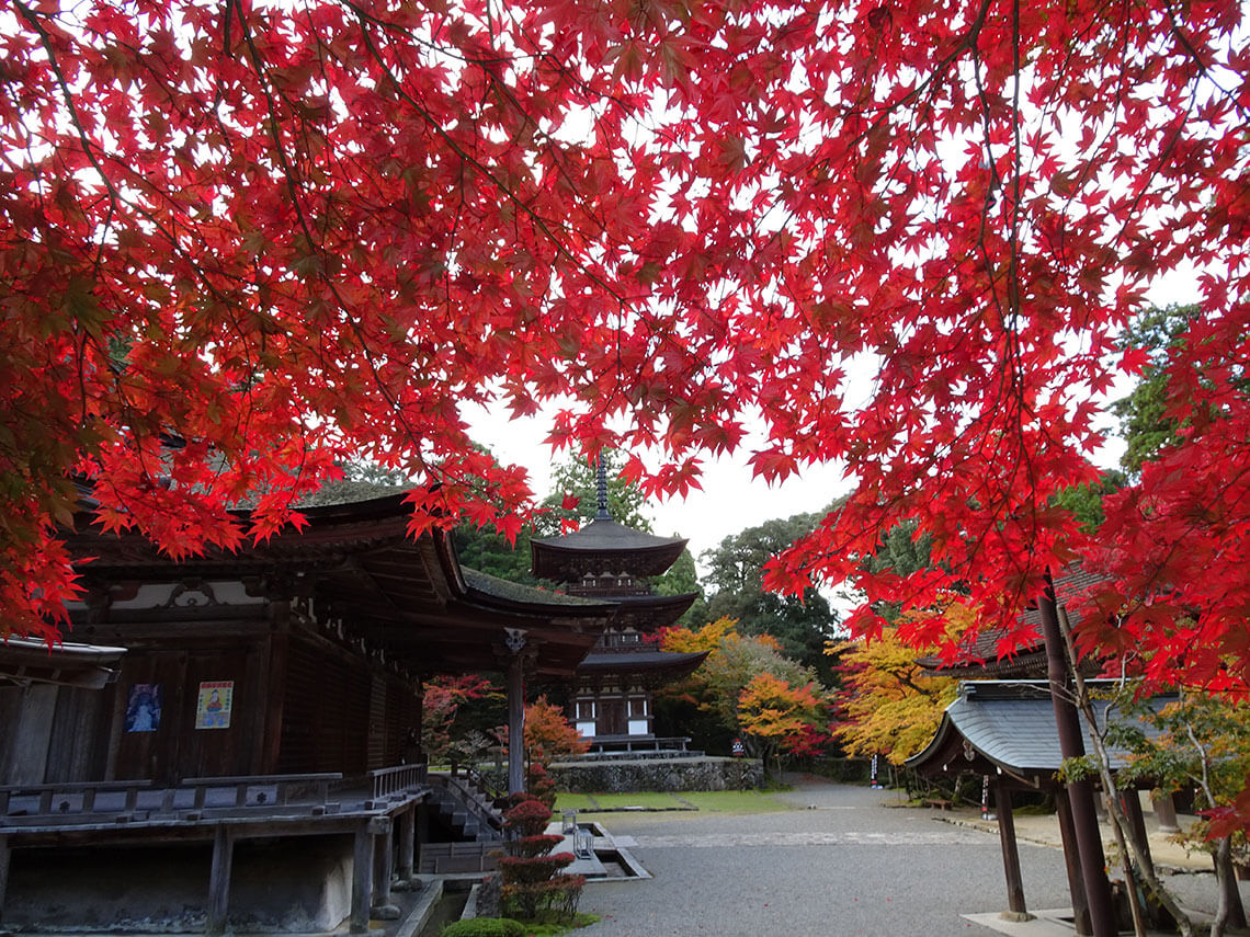 西明寺