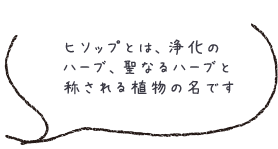 ヒソップとは、浄化の ハーブ、聖なるハーブと称される植物の名です