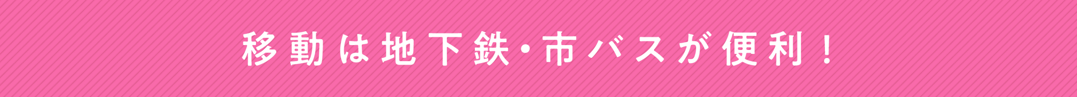 移動は、市バスや地下鉄が便利！