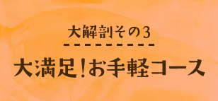 大満足！お手軽コース